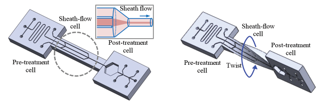 Schematic representation of integrated microfluidic chip for flow cytometry (left). Image of microfluidic chip with twisted microchannels.