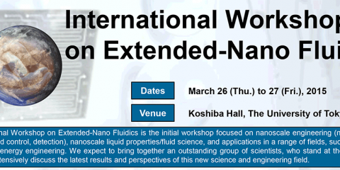 International Workshop on Extended-Nano Fluidics